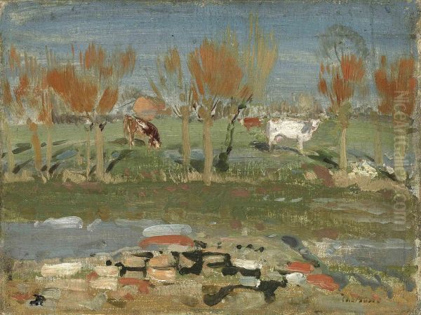 Red Willows - view 1