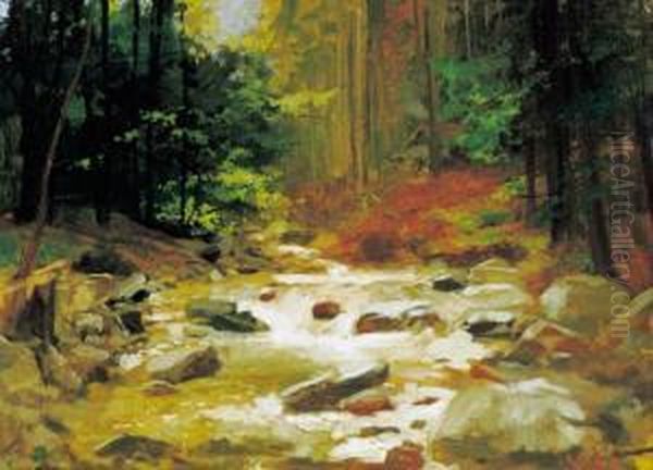 Lesny Potok - view 1
