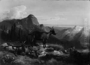 Alpenlandschaft Mit Gemsen. Signiert Unten Rechts: A. Nickol. Ol Auf Leinwand. H 64; B 88 Cm. by Adolf Karl Fr. Nickol