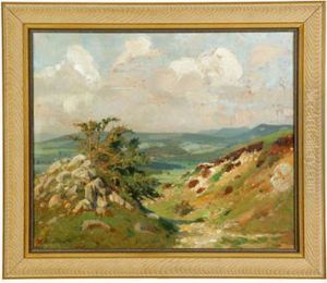 Landscape by Martin Nicolaus