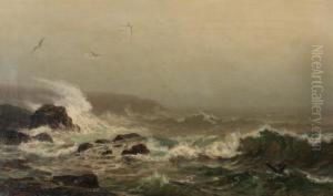 Rocky Coast, New England by James Craig Nicoll