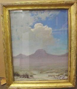Desert Landscape