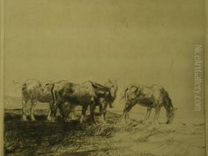 Study Of Four Ponies