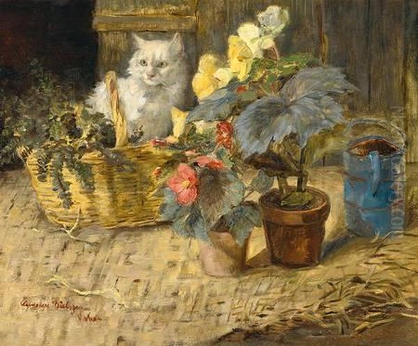 Weise Perserkatze Mitbegonienbluten Und Korb - view 1