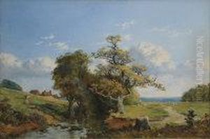 River Landscape River Landscape