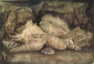 Sea Shells