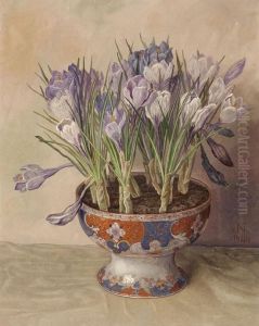 Crocuses by Jaap Nieweg
