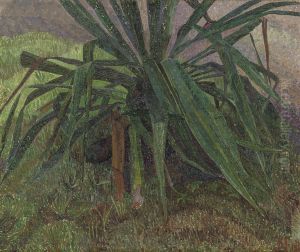 Agave by Jacob Nieweg