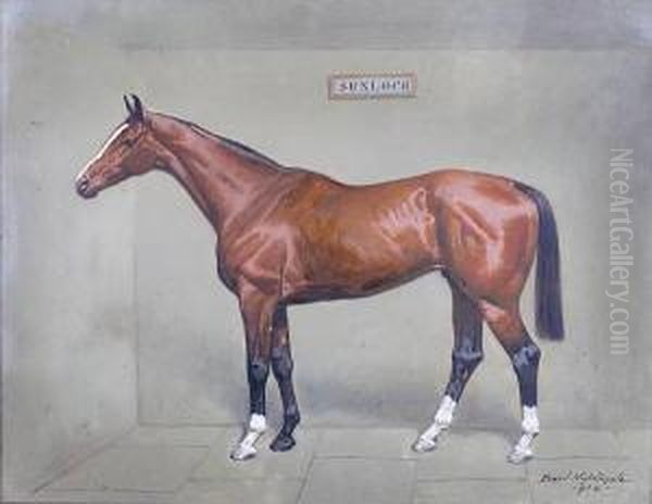 "sunloch", A Bay Racehorse In A Stable - view 1