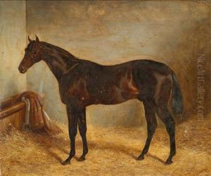Brauner Im Stall by Robert Nightingale