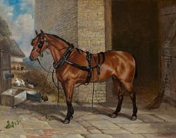 'big Red' In Harness - view 1