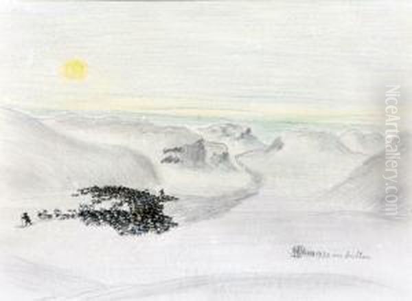 Renflyttning - view 1
