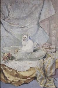 Gato Sobre Cojin by Jose Nin Y Tudo