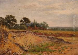 D Nisbet 19th Century Oil On Canvas, Rurallandscape, Signed, 10" X 14", Framed.