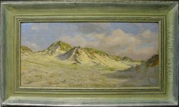 Sylter Dunenlandschaft - view 1