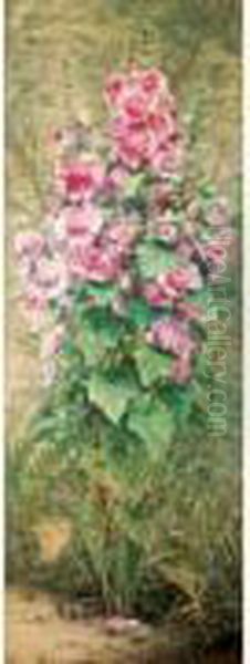 Roses Tremieres - view 1