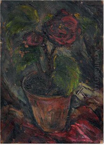 Red Begonia - view 1