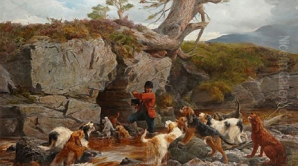 Otter Hunting - view 1