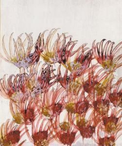 Australian Wildflowers