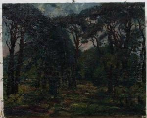 Bossen In Zolder by Lucien Nolens
