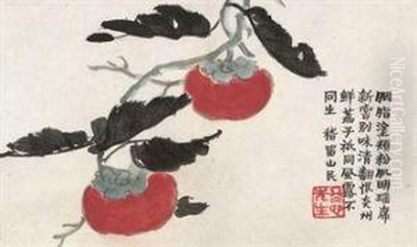 Persimmons - view 1