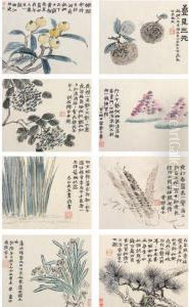 Fruits And Flowers - view 1