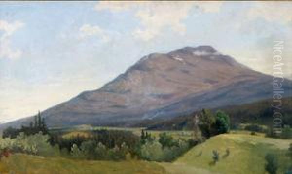 Bergslandskap - view 1