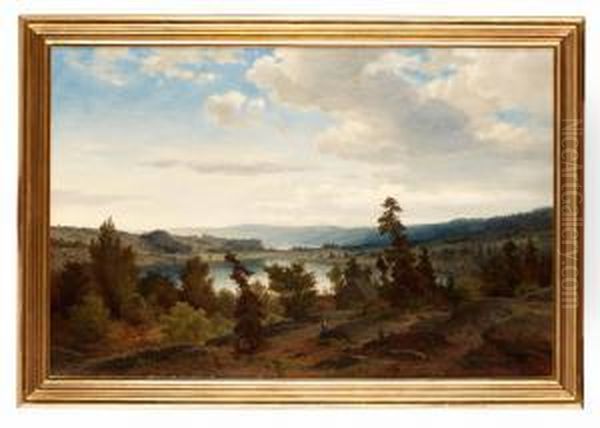 Insjolandskap - view 1