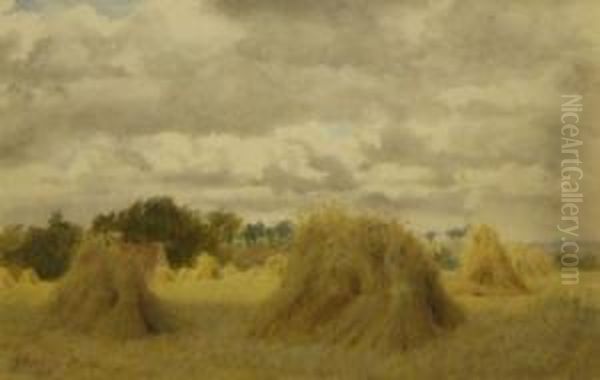 In The Harvest Field - view 1