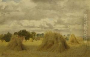 In The Harvest Field by Philip Norman