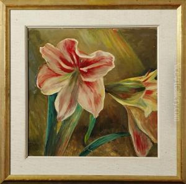 Amaryllis - view 1