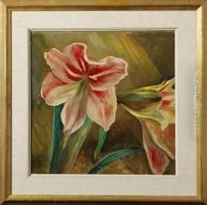 Amaryllis by Hans Norsbo