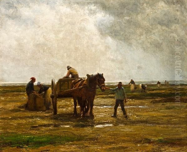 Kelp Gatherers - view 1