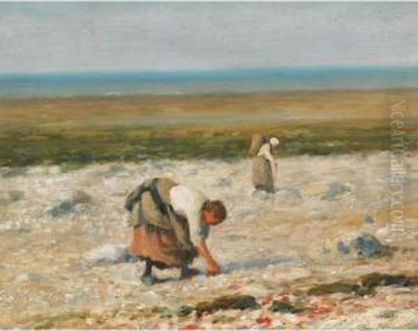 Collecting Seashells - view 1