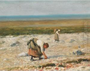 Collecting Seashells