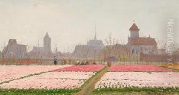 The Bulb Fields - view 1