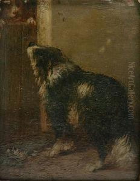Twee Honden - view 1