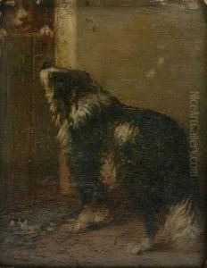 Twee Honden by Zacharias Noterman