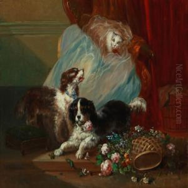 Dogs And A Cat Playing - view 1