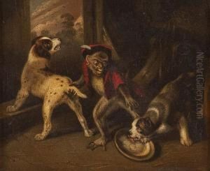 Der Affe Argert Die Hunde Der Affe Argert Die Hunde