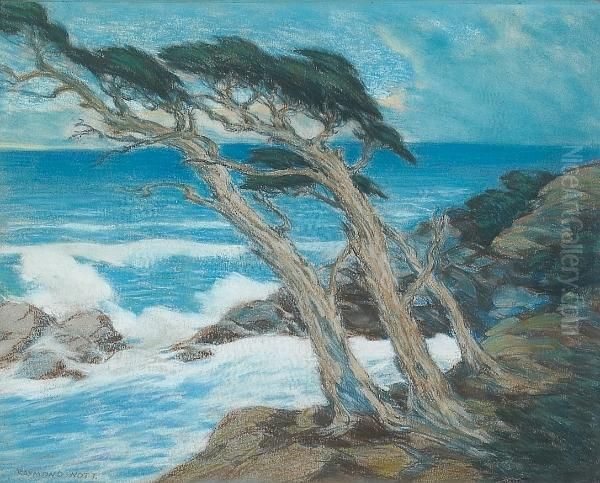 Windswept Cypress Trees, Carmel Coast - view 1