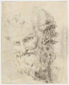 Head Of An Antique Philosopher by Francesco Novelli