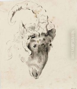 Tete De Belier Vue De Profil; Et Tete De Belier Vue De Face by Pietro Antonio Novelli