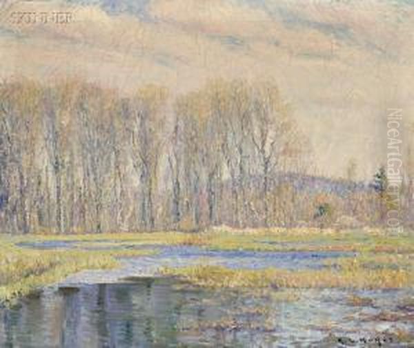 Spring Along The Water Meadow - view 1