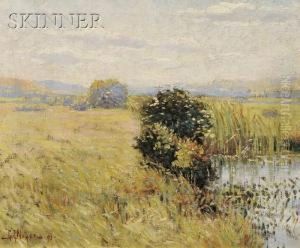 Summer Marsh View