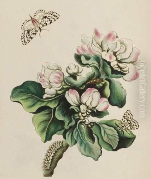 One Hundred And Twenty Copper-plates Of English Moths And Butterflies Representing Their Changes Into The Caterpillar, Chrysalis, And Fly States, And The Plants, Flowers, And Fruits, Whereon They Feed - view 1