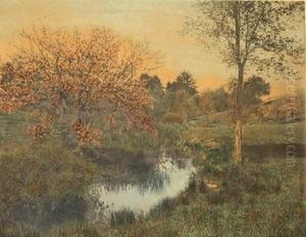 The Softness Of Spring - view 1