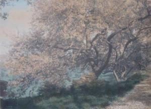 Blossoming Tree by Wallace Nutting