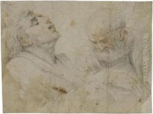 Study Of Two Male Figures by Panfilo Nuvolone