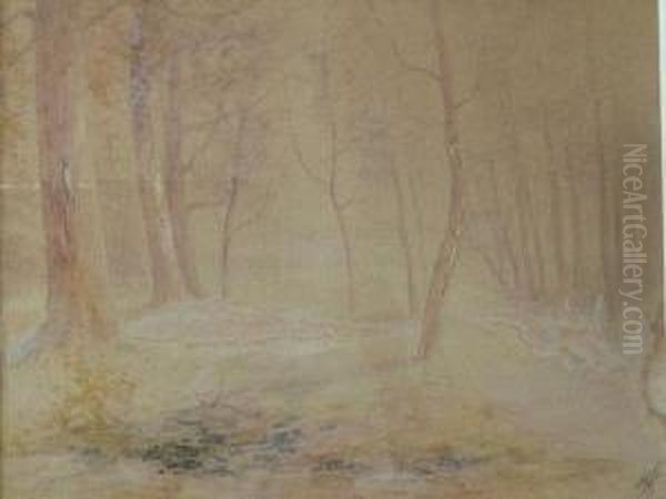 Woodland - view 1